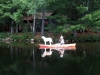 An unusual sight on our canoe trip