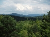The view from the top