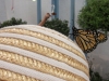 Close-up of the monarch butterfly