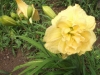 This one is called Yellow Submarine
