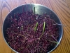 elderberry stems in the bowl