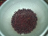 This is what the berries look like