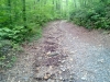 Our walking path