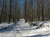 snowy top of the hill